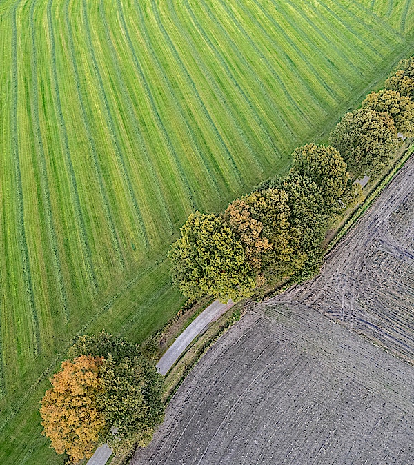 Selling Your Plot Of Land
